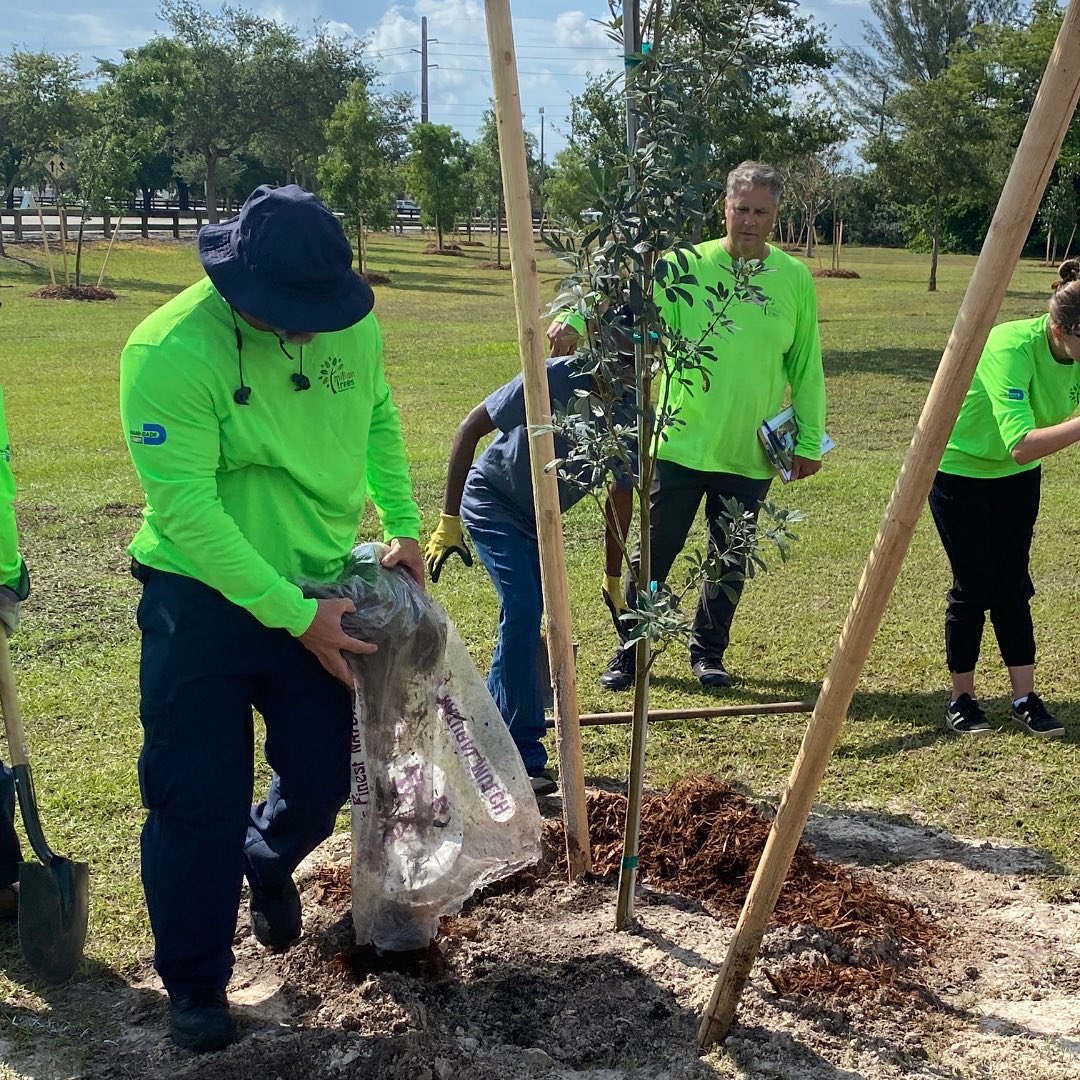 MiamiDadeParks's tweet photo. Happy #ArborDay! We celebrated this morning with our @MillionTreesMIA team at Amelia Earhart Park and gifted 200 trees to the community. #DYK in the month of April alone, we’ve planted 1,299 trees at Amelia! A special thanks to @HuntonAK for the generous donation. #LiveAParksLife https://t.co/59COzitniI