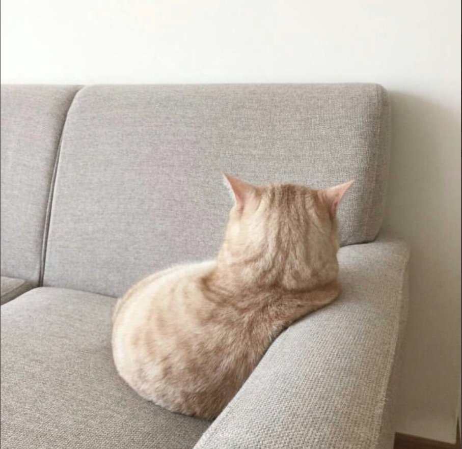 + neyin var 
- yok bi sey