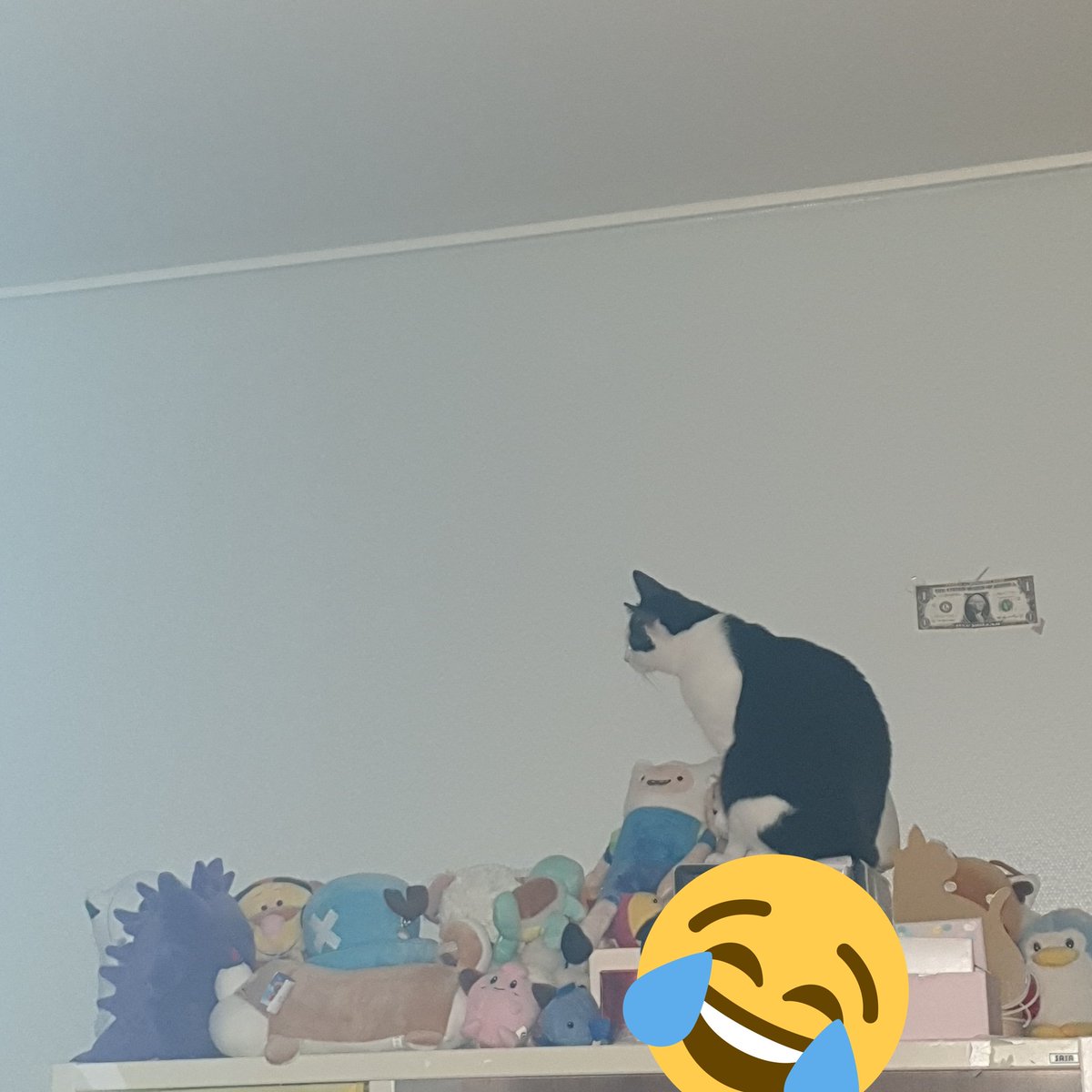 그래.. 슬슬 여름이고 벌레의 계절 체감...
이제 시작이겠지
무언가 있구나^^....