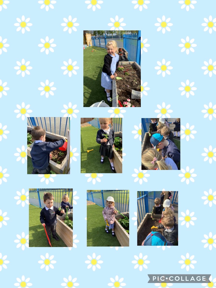 Mrs Shaw tweet media