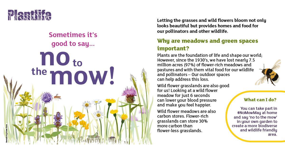 It’s almost time for #NoMowMay, a chance to let open spaces, lawns and gardens flourish! Let the grass and wildflowers grow, flower and set seed to support British wildife. 🌼🌿🦋🐝

Find out more about Plantlife’s campaign: nomowmay.plantlife.org.uk