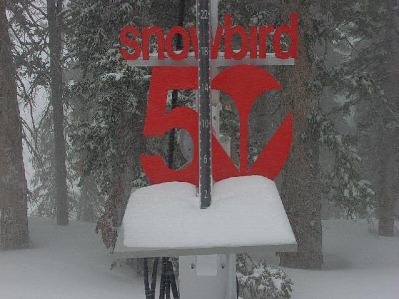 Utah Daily Snow tweet media