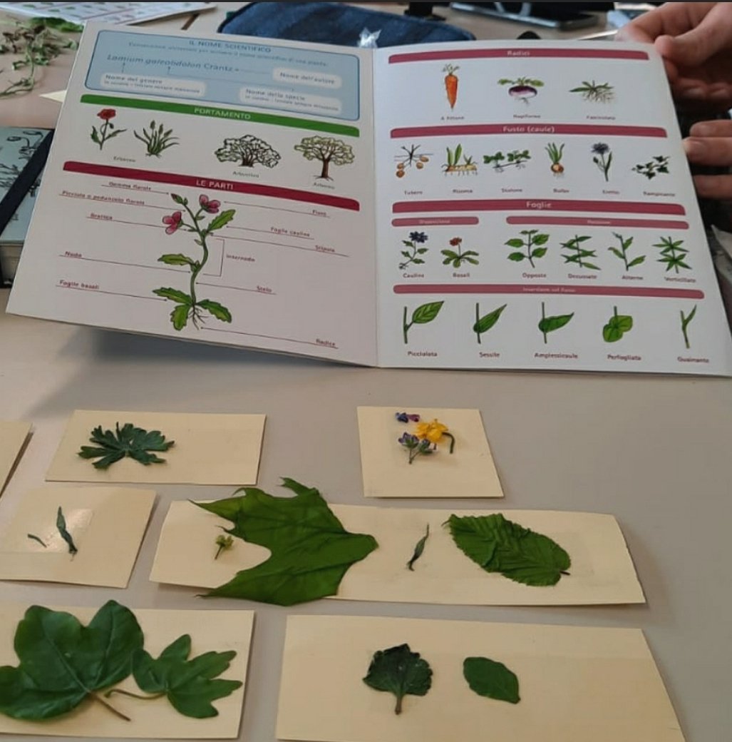 ortobotanicoBG's tweet photo. Continuano le avventure dell’@isiseinaudi nella natura accompagnati da Michela dell’#ortobotanicodopibergamo per @BePathNet
#urbanbeekeeping #beepathnet https://t.co/8MPVez8Cue