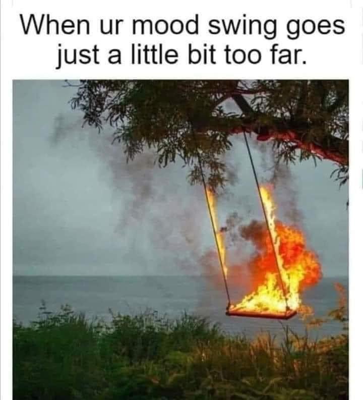 Surich1972's tweet photo. @StevesLoveTarot Happy Friday my loving-beautiful soul tribe.  How about some static energy via laughs? Keep swiping left lol. My work day ends early to enjoy 72 degrees and sun with my doggos. I pray you have a beautiful weekend.  Love, light, hugs, &amp; kisses #SLT 🦀✌️♥️ https://t.co/Hc0tvlx8WB