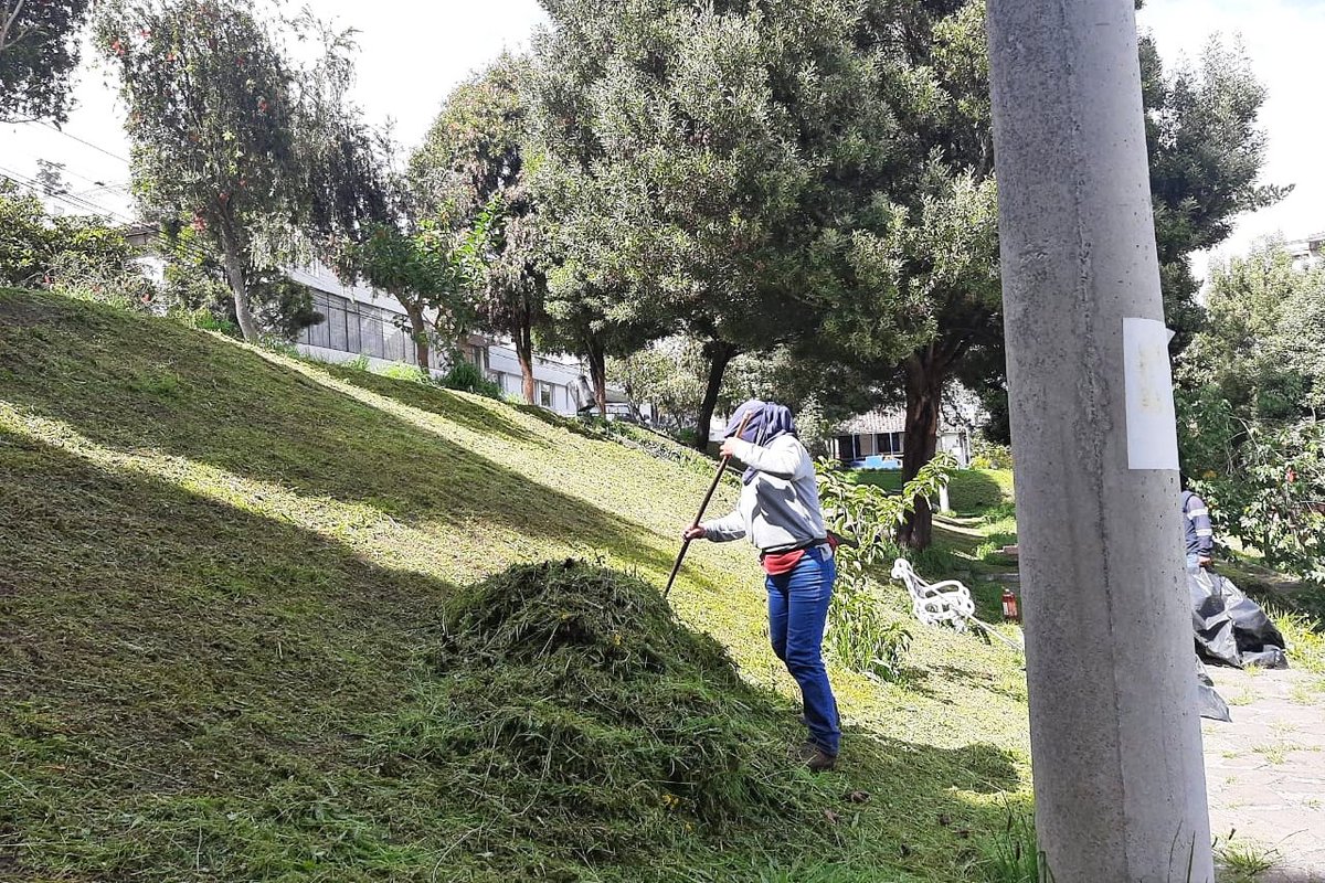 ZonalEspejo's tweet photo. ¡El trabajo es permanente! 

En el parque ubicado en la Av. Eloy Alfaro y Juan de Dios Martínez, la cuadrilla de parques y jardines, realiza trabajos de poda, mantenimiento y limpieza. La comunidad puede compartir en familia estos espacios.

Trabajamos #PorUnQuitoDigno https://t.co/feaB18JuRt