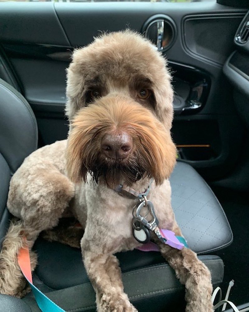 How are they even the same person?!