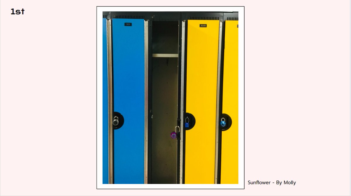 "At first I just took a photo of some lockers, but later I noticed that it had Ukraine's national colours. The empty locker symbolizes what will be left if we don’t help each other out. The sunflower is Ukraine's national flower."- Molly 7E