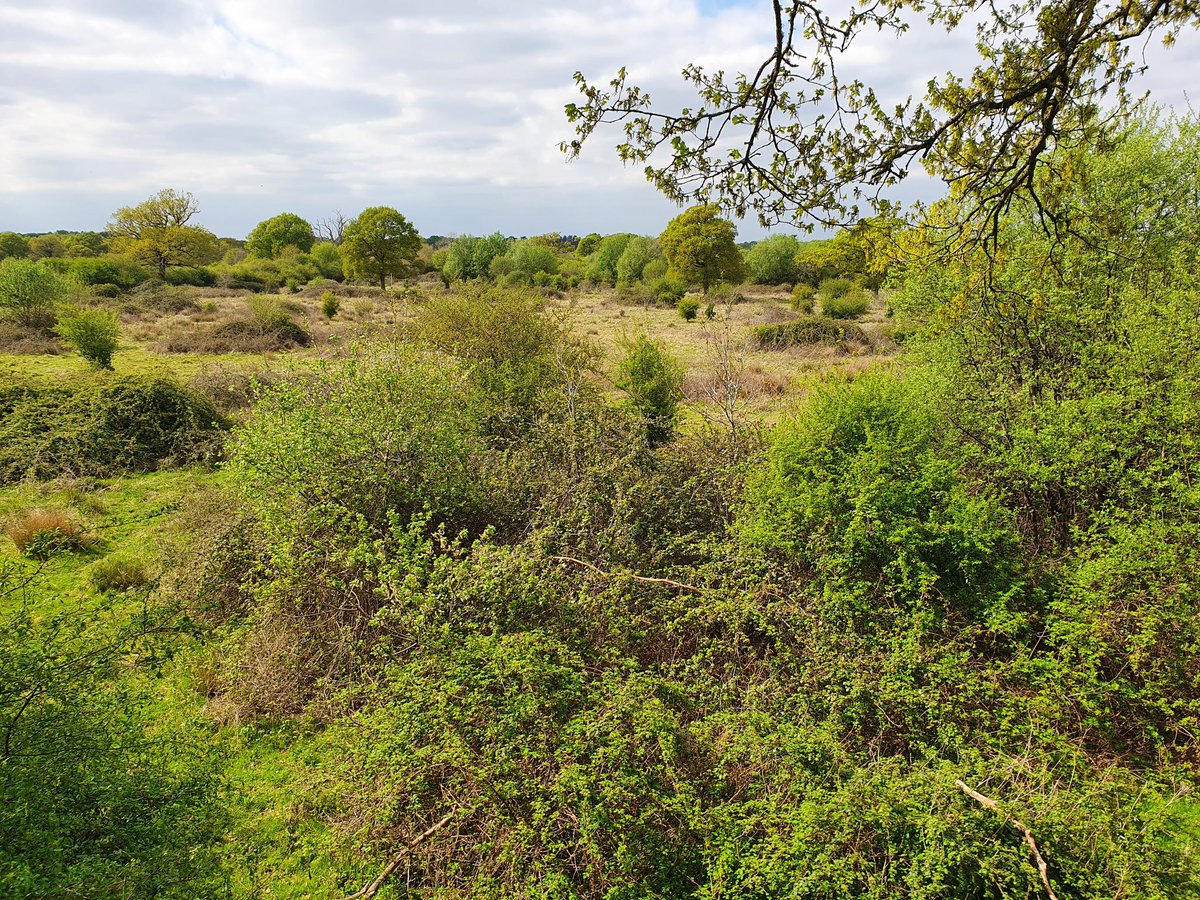 Chris Mackin tweet media