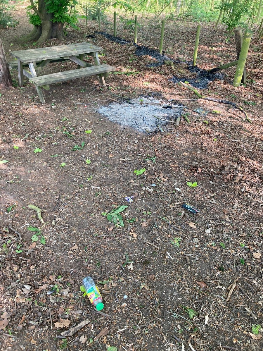 Grappenhall and Thelwall Police tweet media