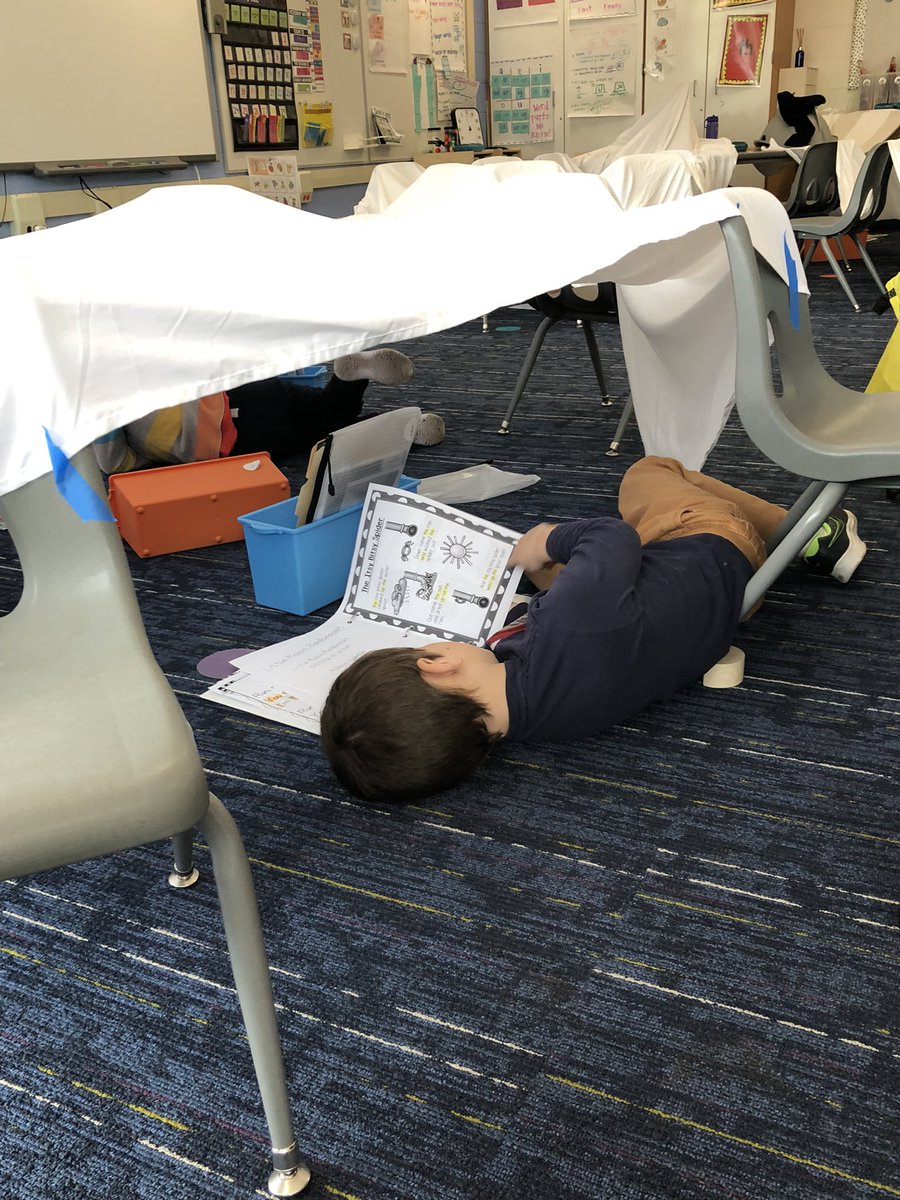 Friday Fort Day ⛺️📚 🦊#CentralFoxes