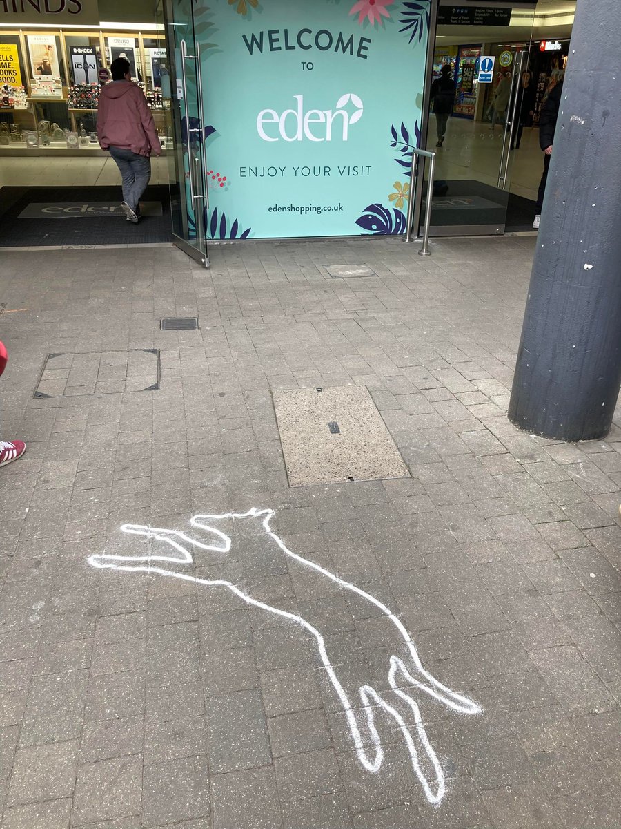 🐶 Who let the dogs out? 🐶 #CuriousWycombe

The Curious Incident of the Dog in Night-Time 🐕🌙

Tue 17 - Sat 21 May ⏰
🎫: bit.ly/3vp3br0