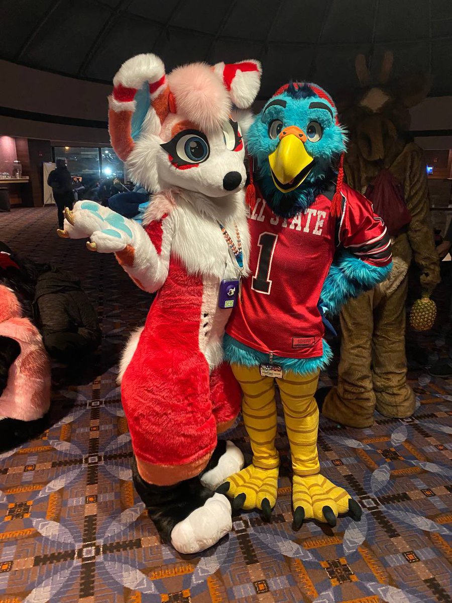 royalbleps's tweet image. Finallyyyyyy #fursuitfriday :) Heres a pic i snapped with @Adler_the_Eagle at #mff2020 :)
