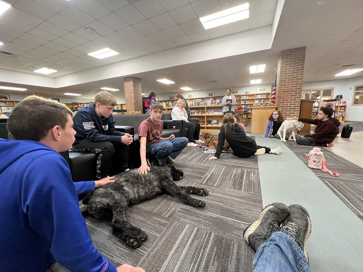 deisel68's tweet photo. Another successful Pause for Paws afternoon. #TherapyDogTime #FridaysAreMadeForThis 
#mycrcs @noworriesCRCS https://t.co/WPf9G8uNJJ
