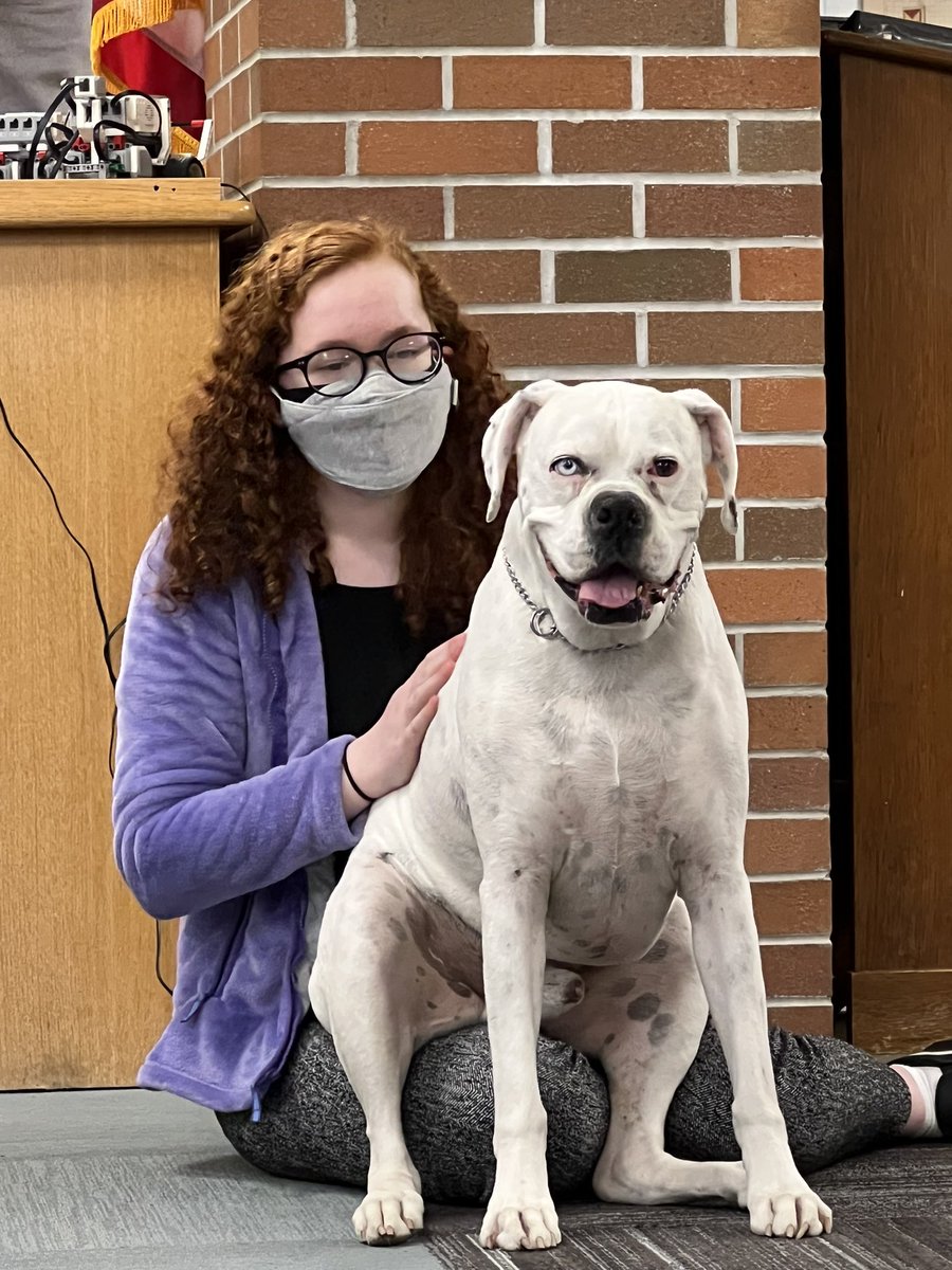 deisel68's tweet photo. Another successful Pause for Paws afternoon. #TherapyDogTime #FridaysAreMadeForThis 
#mycrcs @noworriesCRCS https://t.co/WPf9G8uNJJ