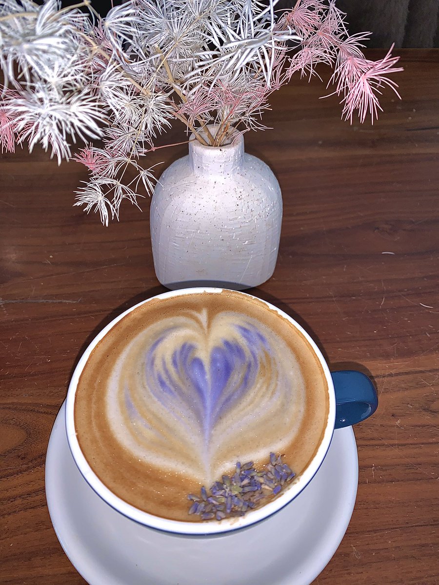 Clea Skunaplhawitawtuuxin tweet media