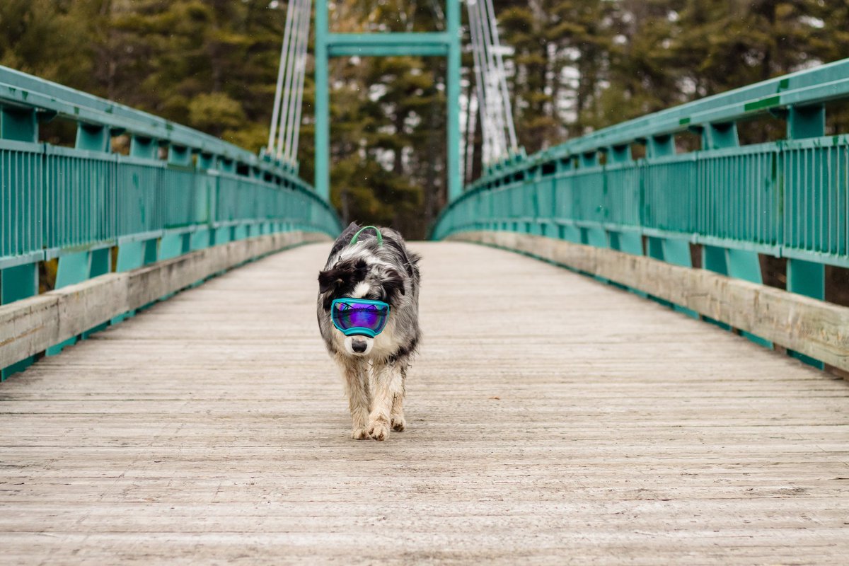 On the prowell for the #weekend