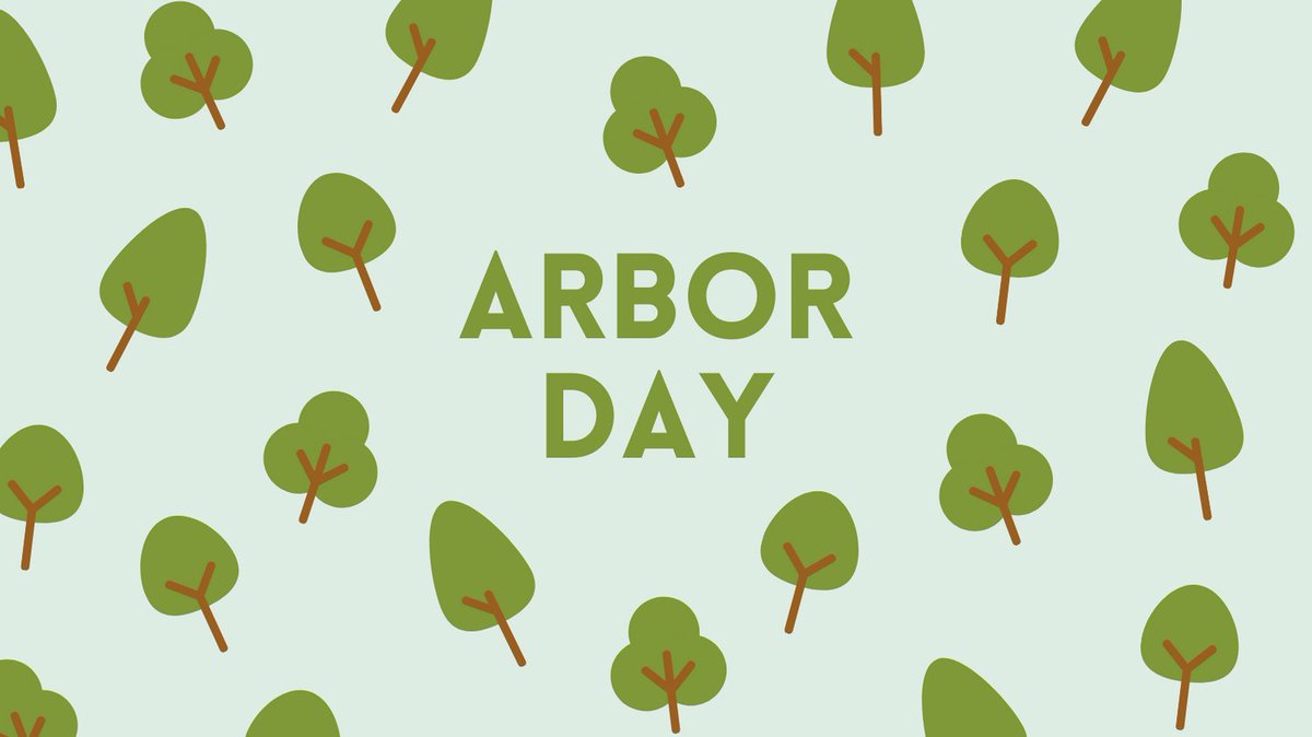 Put down roots with us this Arbor Day. Call ALFA Realty Group today.
#AlfaRealtyGroup #ARG #luxury #realtor #massachusetts #boston #bostonma #singlefamily #multifamily #newhome #firsttimehomebuyer #buy #new #today #trees #arborday #forests #planttrees