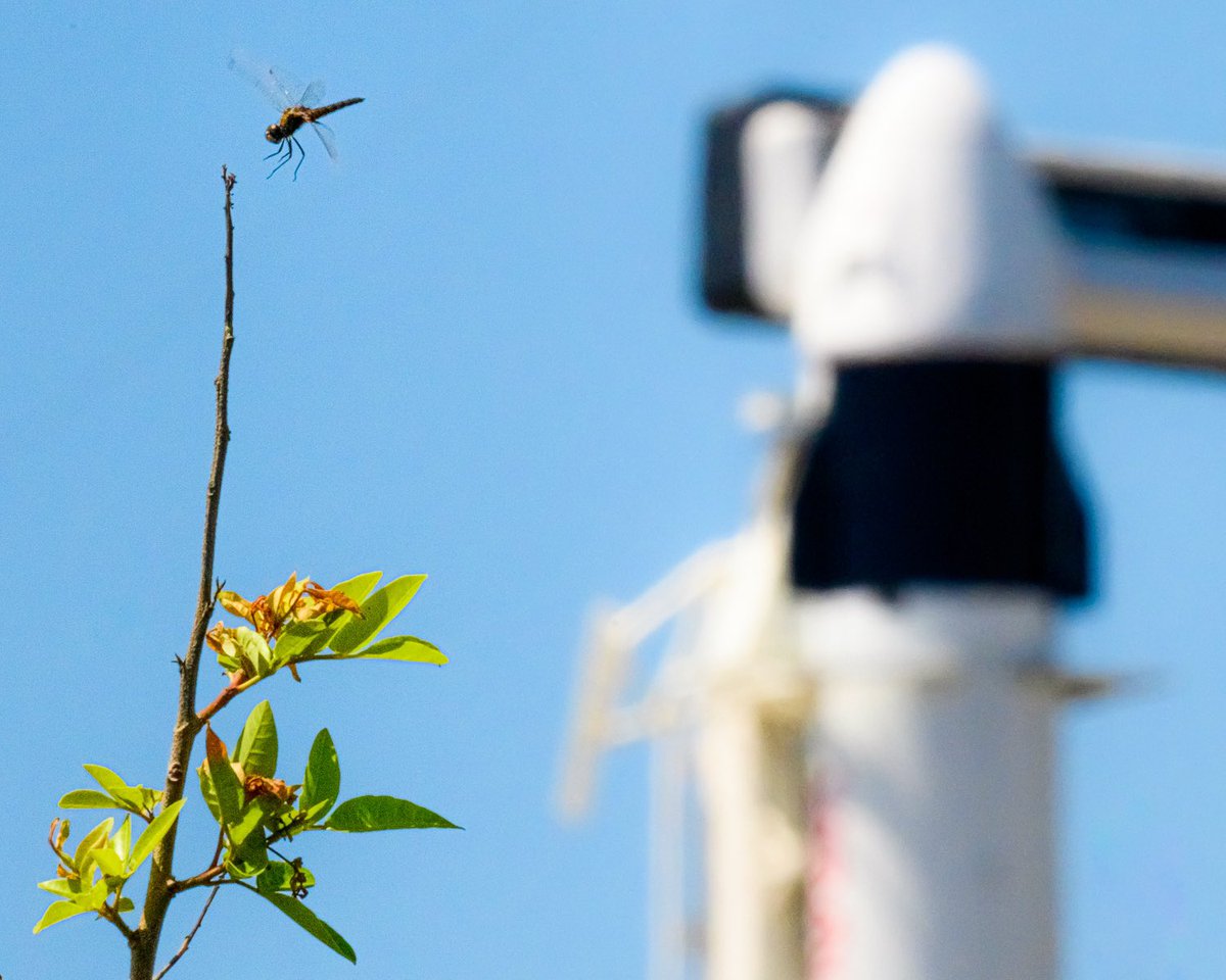 European Space Agency tweet media