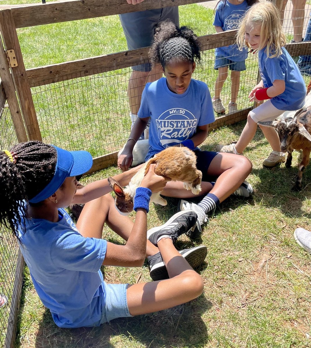 klundstromatmv's tweet photo. #MVRally22 💙🎪💙 Carnival #havefun #mvpschool https://t.co/30M5Wt0s7C