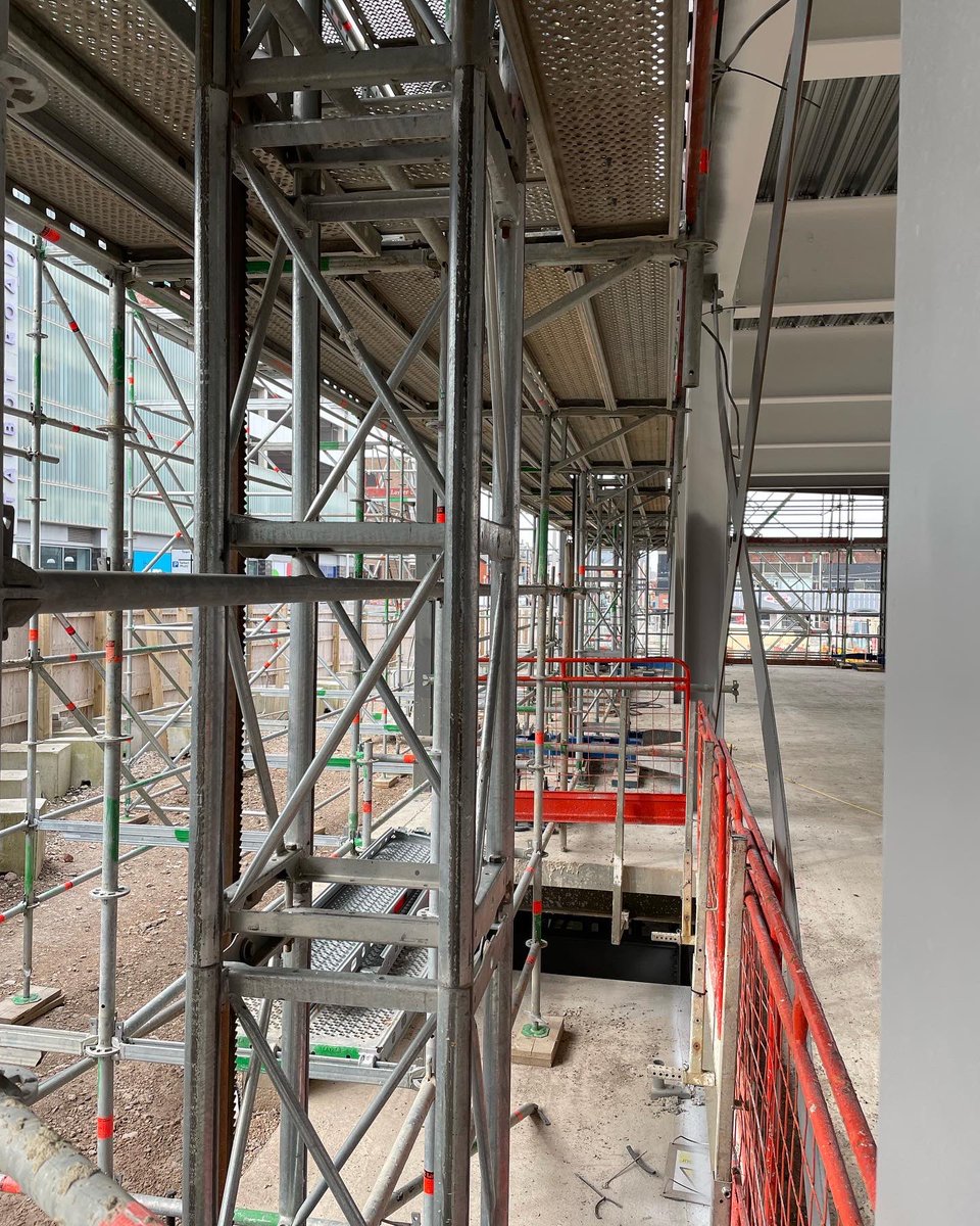 RoseSystemScaffold tweet media