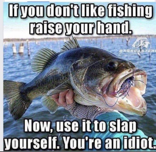 If you don't like fishing raise your hand. Now, use it to slap yourself. You're an idiot 😂😜 🤫  #fishing #meme #funny #fishinglife #bassfishing