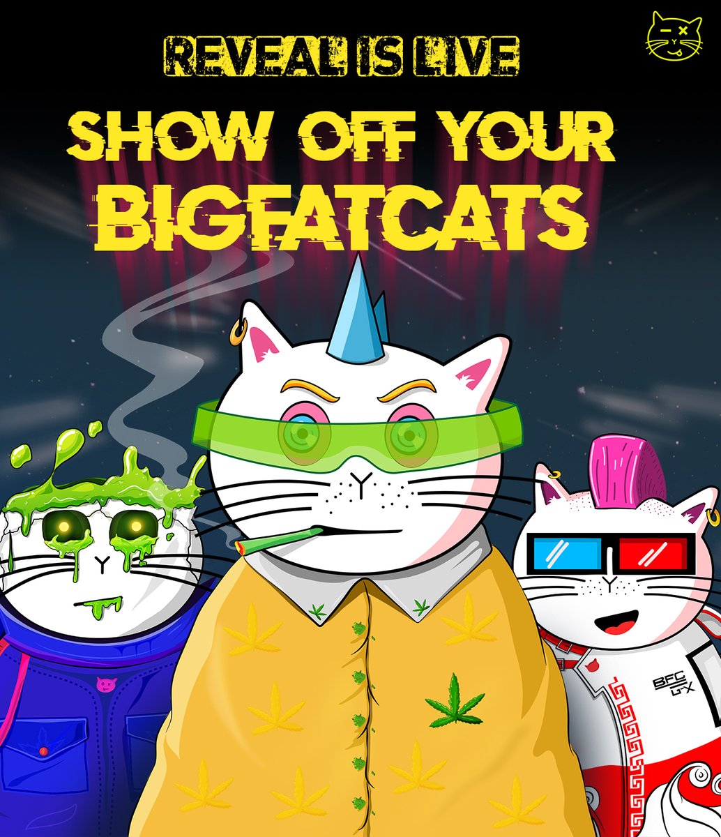 BigFatCats Gang tweet media