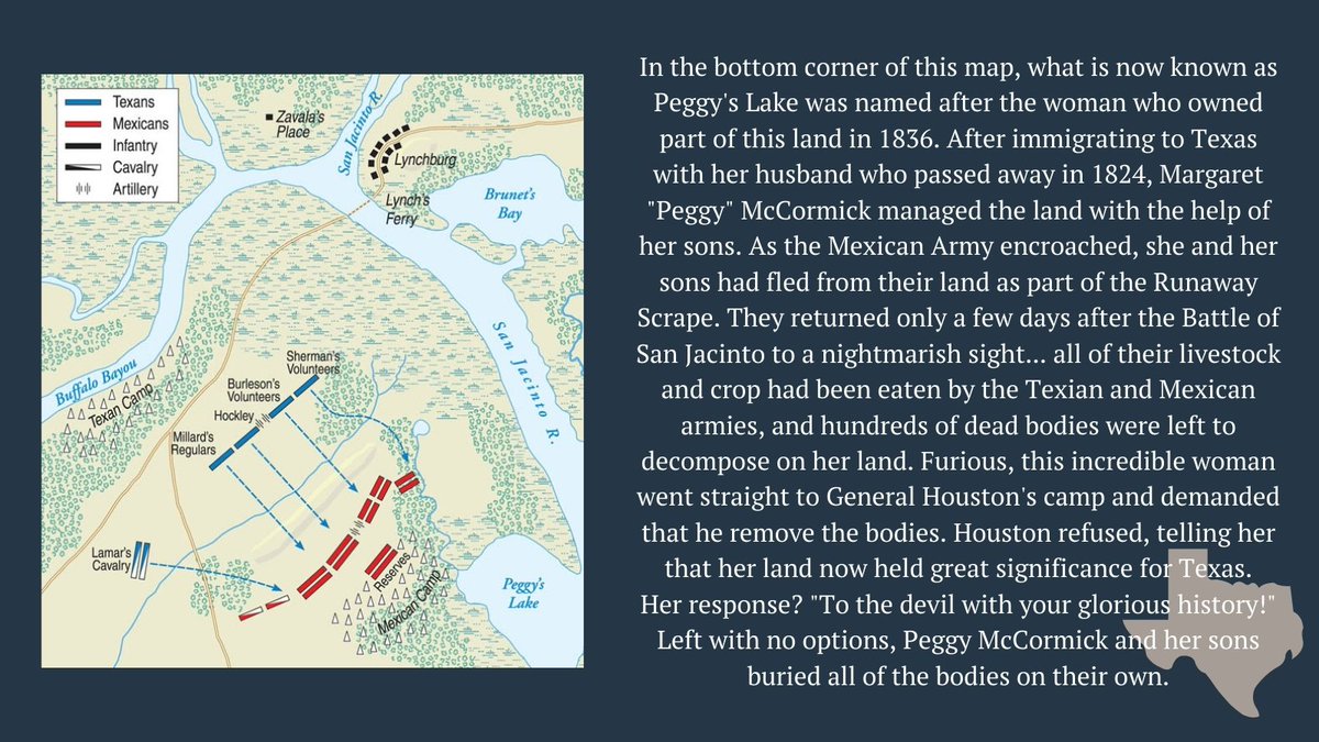 The Alamo tweet media