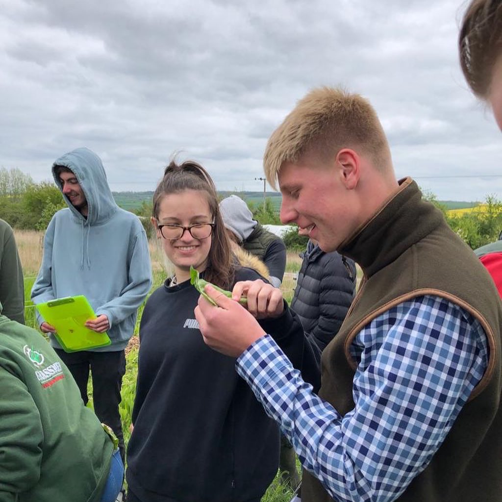 RealFarmED's tweet photo. Agriculture students from @BCA_Maidenhead on a farm walk with FarmED Founder, Ian Wilkinson, who graduated from BCA in the 1980s! They heard about changing farming methods, herbal leys, soil health and more 🌱.
#soilhealth #herballeys #bca #farmingmethods #realFarmED https://t.co/Fq4hRVQehz