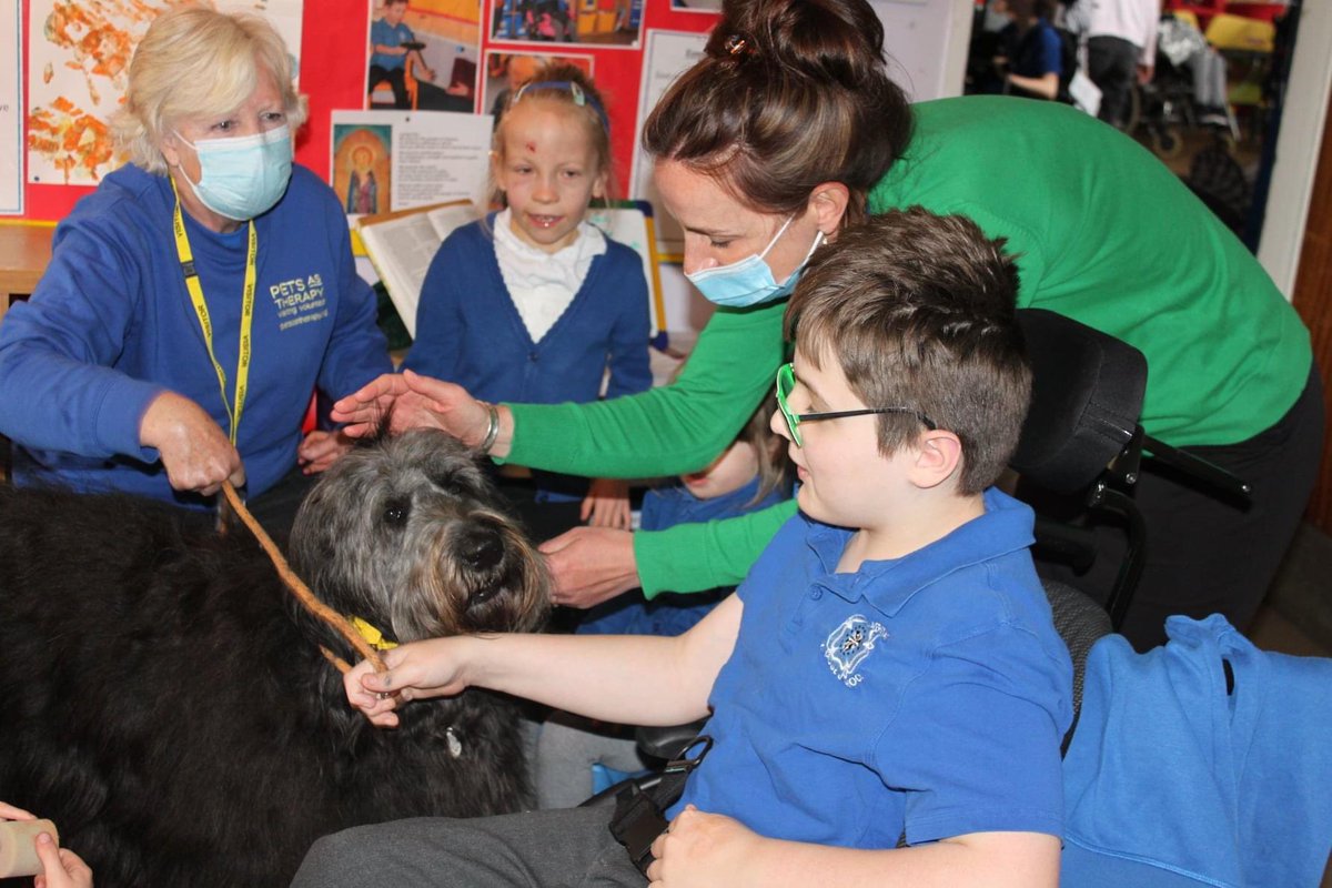 StRosesStroud's tweet photo. What a treat – a visit from Suki, the therapy dog. https://t.co/r29zq3uZi5