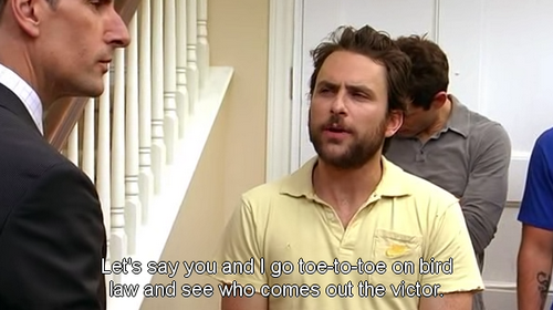 CharlieDayQuote's tweet photo. https://t.co/RuvFhNPIhW