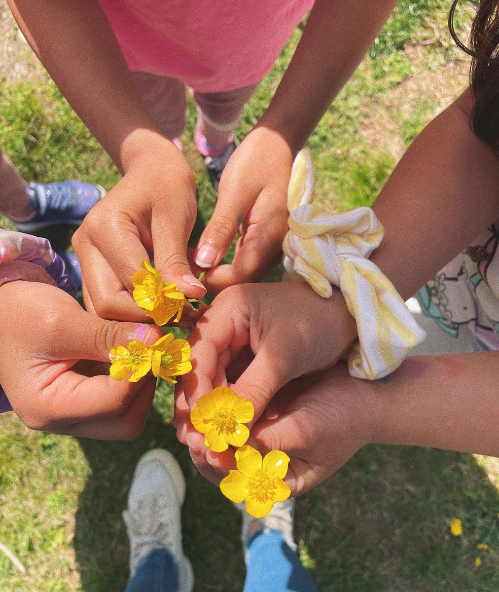 MsMatticks's tweet photo. this morning in kindergarten we saw some things that were just sooo beautiful, they insisted I take pictures: bee food (pink and yellow), a sky that reminds us of waves in the ocean, and a tree with pretty blue peaking through. all in all, I think they were right. https://t.co/l4qLiRMyBb