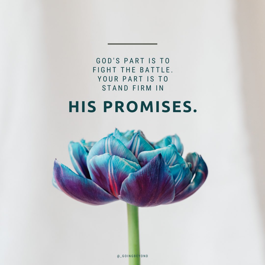 _GoingBeyond's tweet image. Stand firm 🌷