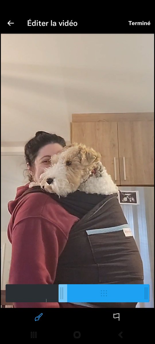 SWirefox's tweet image. As you all know we are going to have a human baby sister in august , so mom is trying baby's gear with her real baby , ME ! ~Asta~