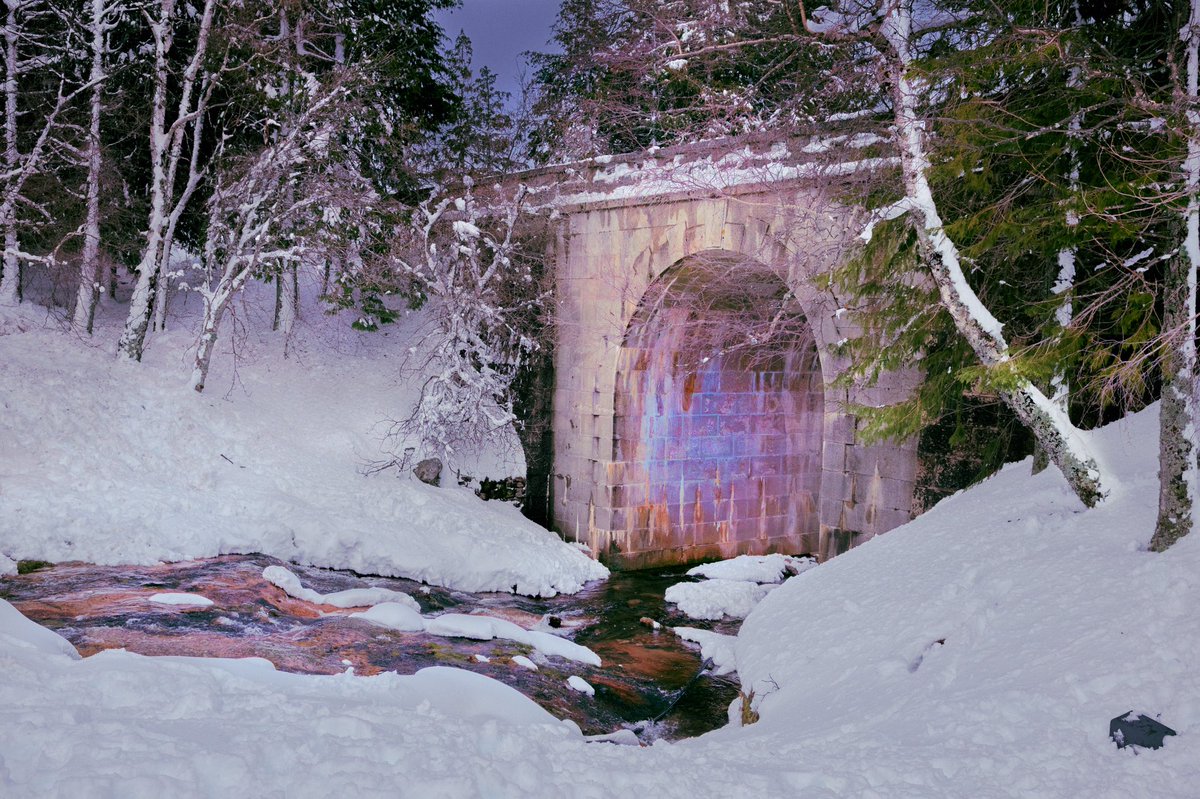 HenriPrestes's tweet image. Cold places