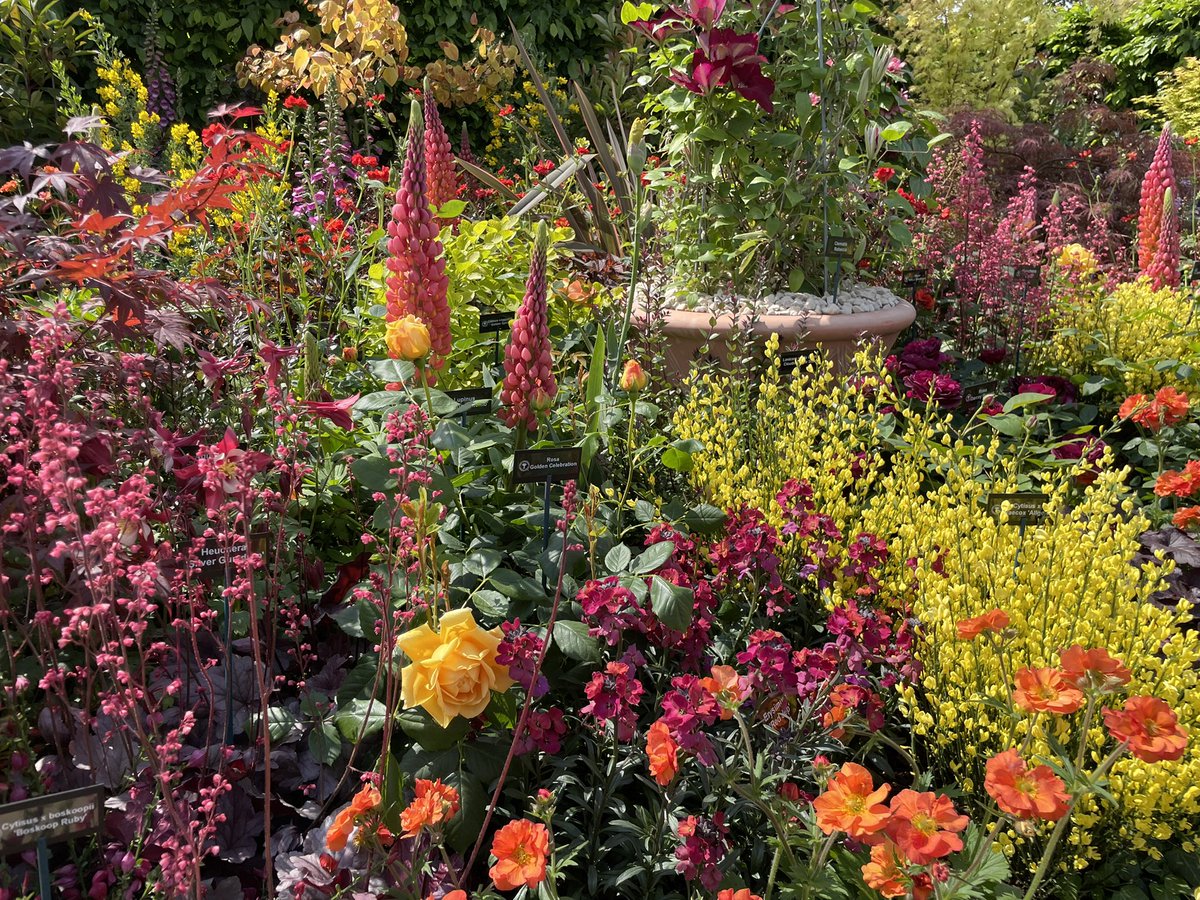 GardenistaG's tweet photo. THIS planting and THIS cheese.. Gardeners World Spring Fair satisfied great life-loves today amidst legendary motor history. @LyburnCheese why have we not met before? Planting by Hillier #gwsf #GardenersWorld #cheese #jewelgarden https://t.co/8IDmaTczTd