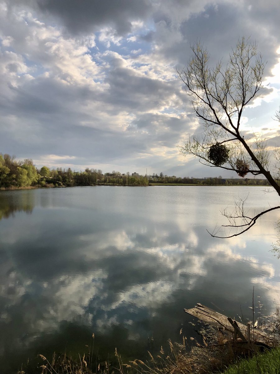 View image on Twitter