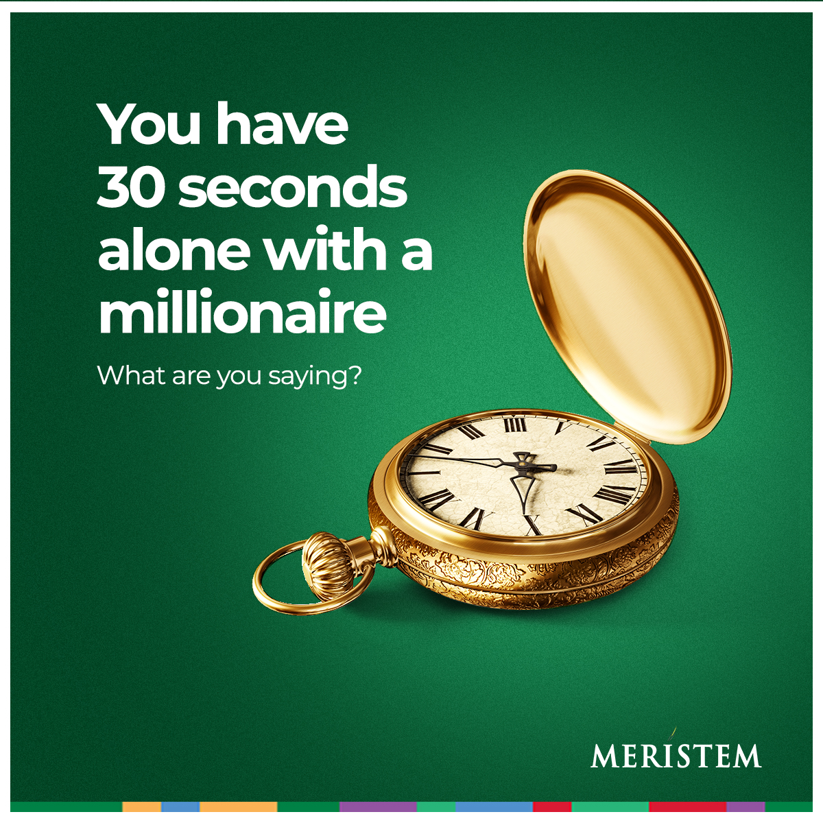 How much would you be able to say to a millionaire in 30 seconds? And what would you say? 

#meristemng