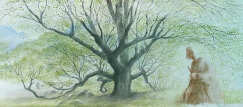 52fe2588ad4c42e's tweet photo. #Bales2022FilmChallenge
April 29
Tree planted in a movie
"The Man Who Planted Trees"🎬
Directed by #FredericBack
1988 #Oscar Winner: Best Animated Short
#film #Animation https://t.co/vv4xbrsZFg