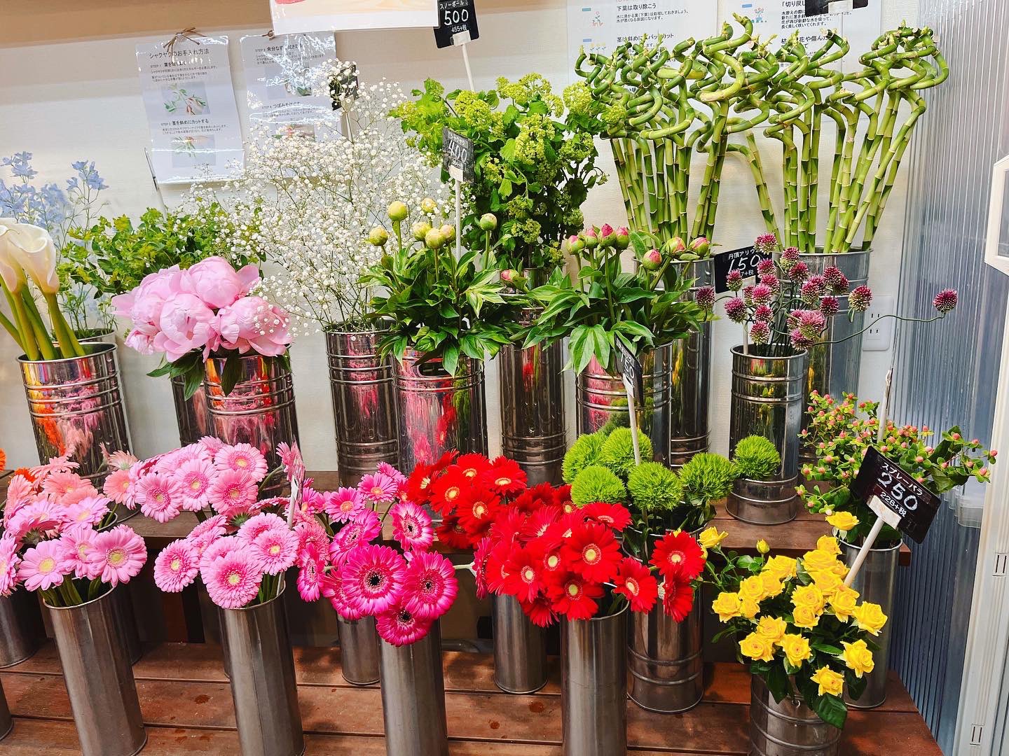 黒沢生花店 今日の花揃え いよいよgw 母の日週間に入ります なるべくお早めにご予約をお願いいたします 尼崎市 立花駅 花屋 立花商店街 黒沢生花店 生花 切り花 枝物 葉物 お花屋さん お花のある暮らし お祝い プレゼント ギフト 母の