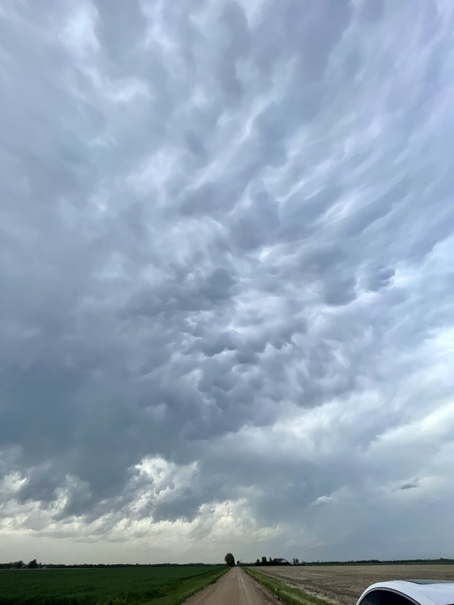 chaserchick17's tweet photo. Well….at least there’s mammatus 🙆🏼♀️ NE Halstead #kswz https://t.co/beTvny3gU7
