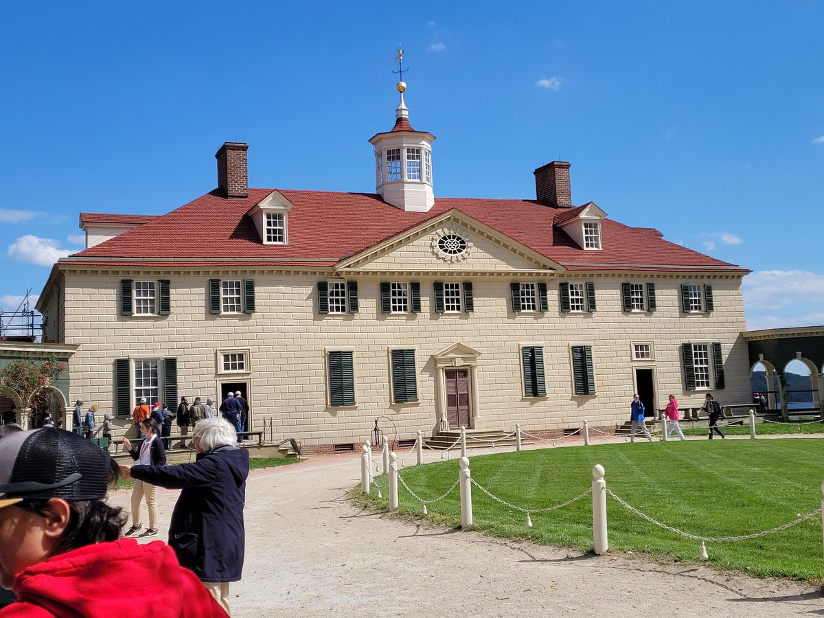 Michelle Madden tweet media