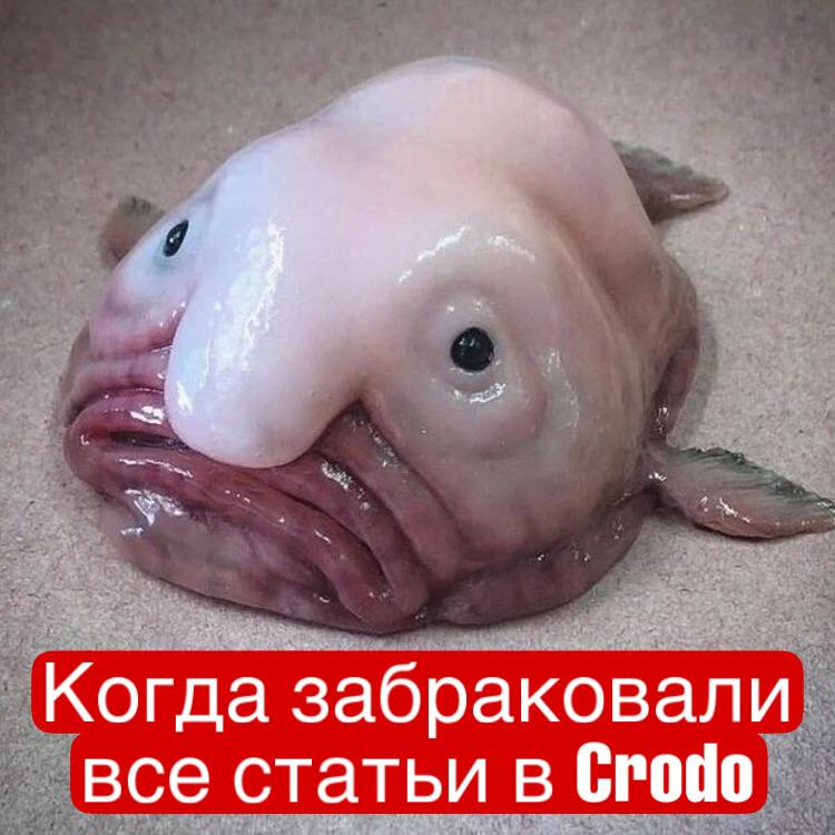 miheevgert12's tweet photo. @Crodo_io очень хочу во вторую эпоху!)

#CRODO #CRONOS @cronosapp $CROD @cryptocom https://t.co/yMexXljXNF