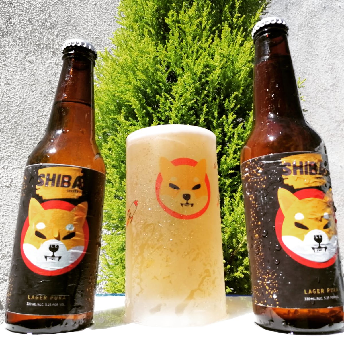 theEngibeer.mx tweet media