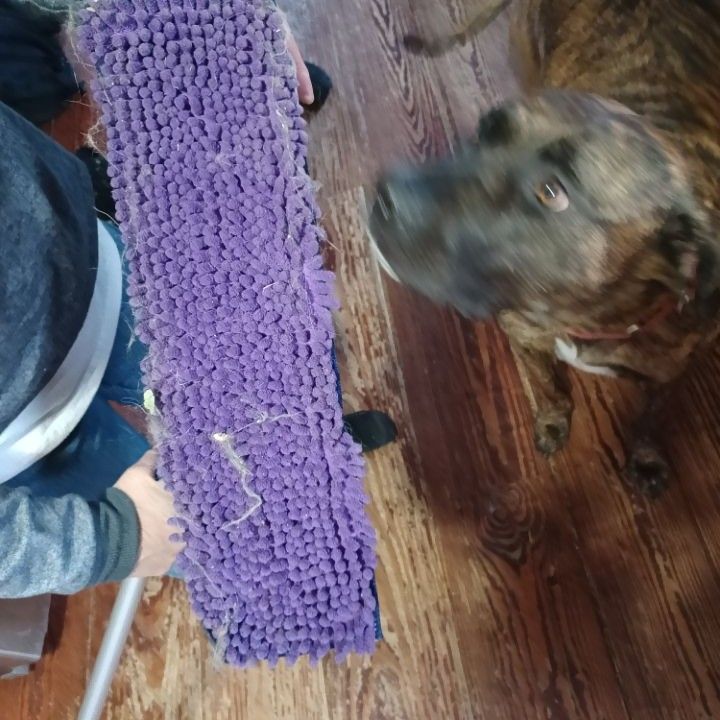 CitrinoShannon's tweet image. @bona #petsystem #microfiber @influenster
it picks up pet fur!! influenster.com/deeplink/photo…