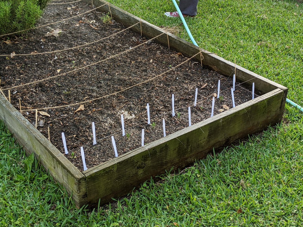 Greg Milton and 42 others tweet media