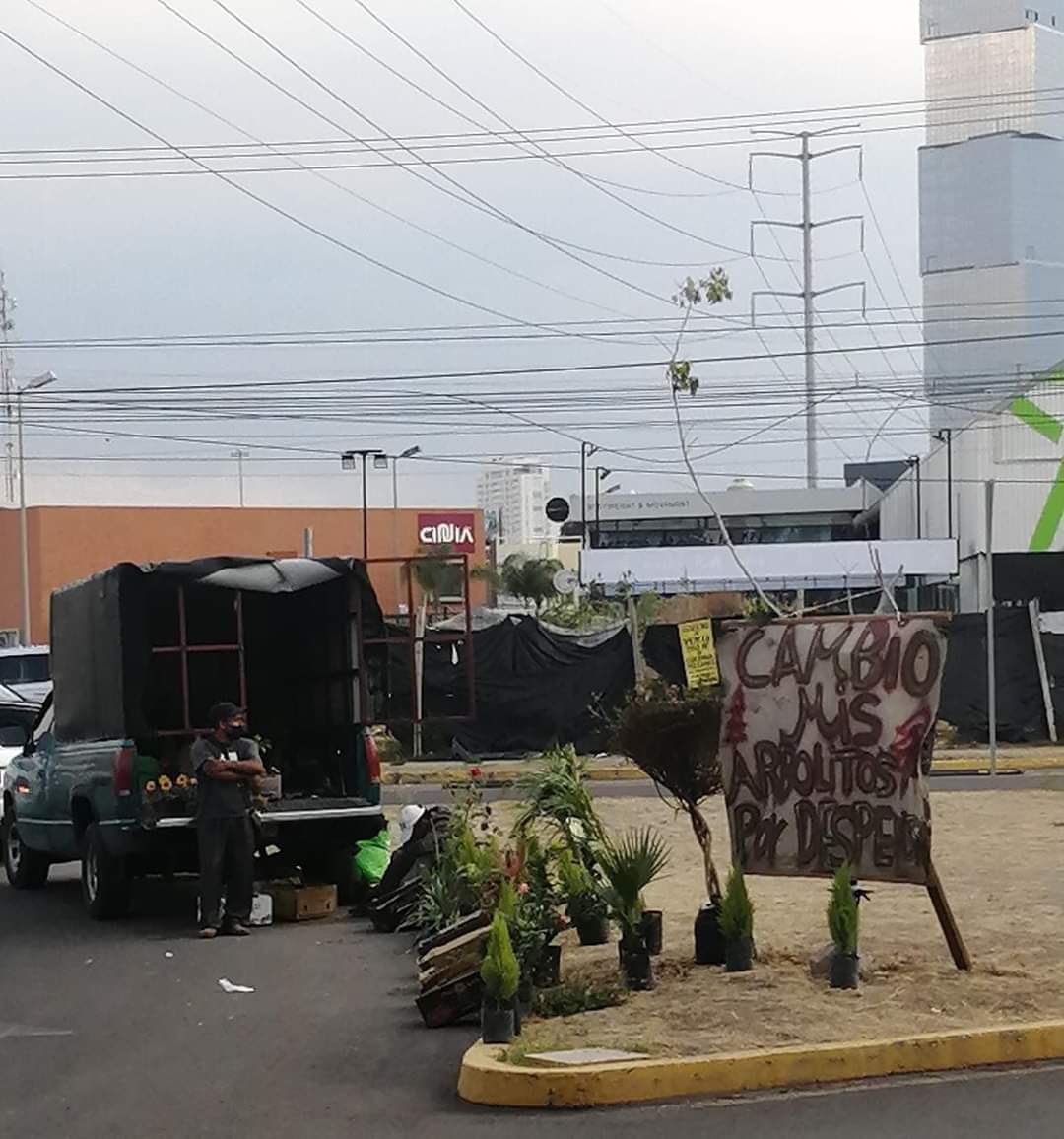 MexicoMagico's tweet photo. ¿Dónde están nuestros amigos poblanos? | Comerciante cambia sus arbolitos por despensa 🌳

Se encuentra atrás del supermercado de Vía San Ángel #Puebla 📍@C_Lobato https://t.co/1N1QTLNvUe