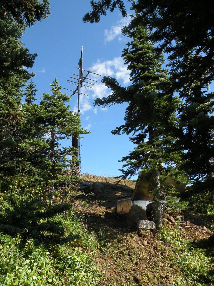 RER's antenna, mast, and electronics box, surrounded by trees.
