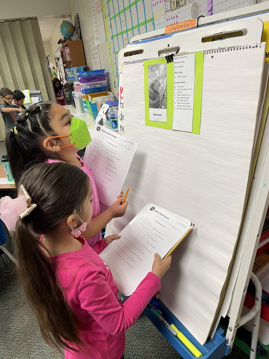 mcapetillo tweet media