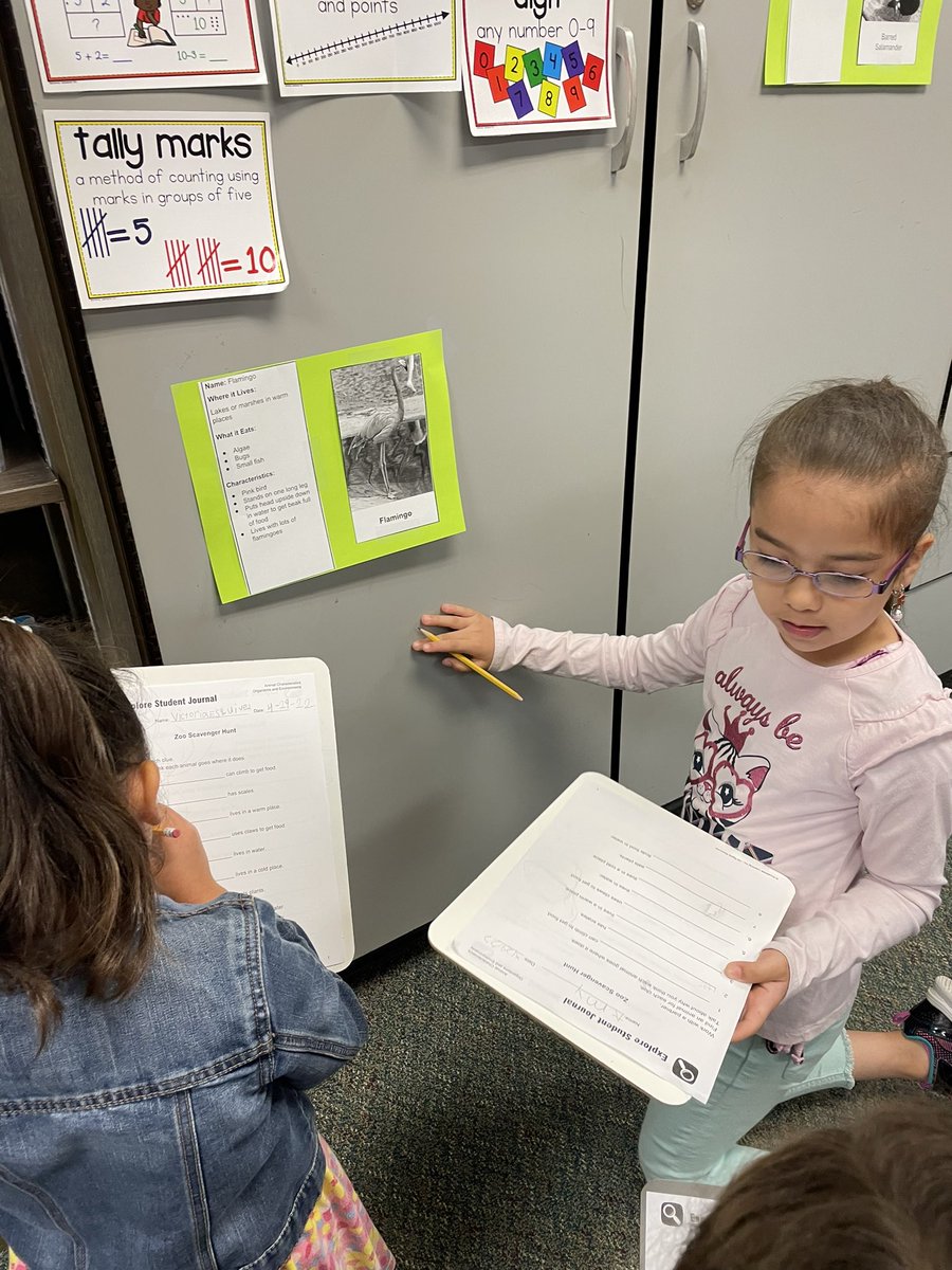 mcapetillo tweet media