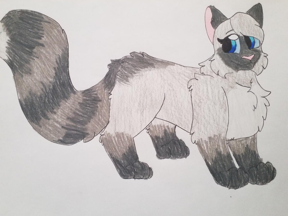 Kattren055's tweet photo. Newtspeck and her siblings
#warriorcats #newtspeck #ashheart #frogtail https://t.co/M51rbvUIBx